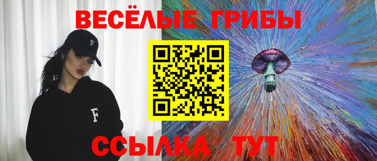 Псилоцибиновые грибы Psilocybe Михайловск