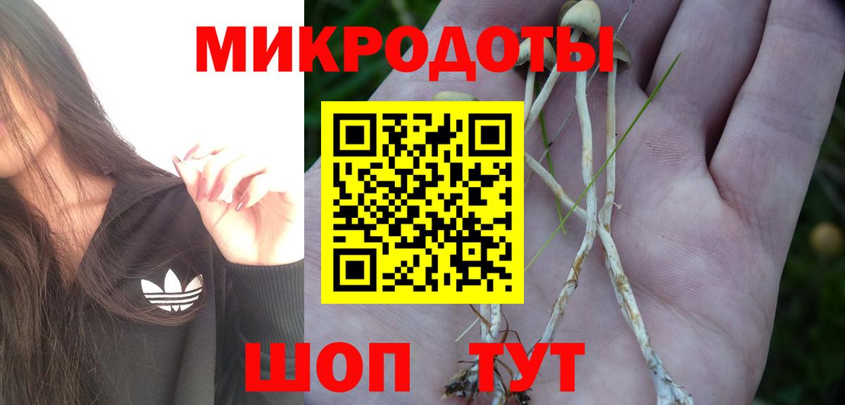 Михайловск  купить наркотик  Вход с VPN  Псилоцибиновые грибы Psilocybe  Псилоцибиновые грибы Magic Shrooms 